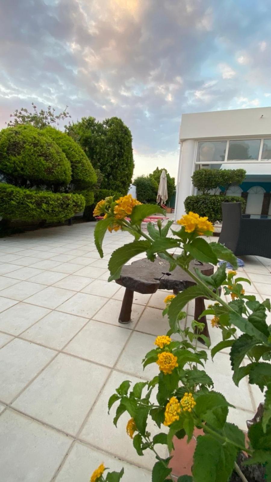 Hotel Kalloni Волос Екстериор снимка